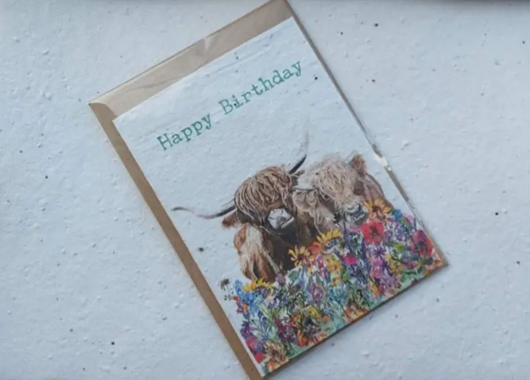 ECO AND VEGAN PLANTABLE FLOWER SEED CARDS - HAPPY BIRTHDAY