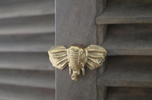 Load image into Gallery viewer, Brass Elephant Drawer Knob - Brass/Gold Finish

