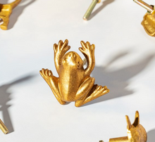 Load image into Gallery viewer, GOLD FROG DRAWER KNOB
