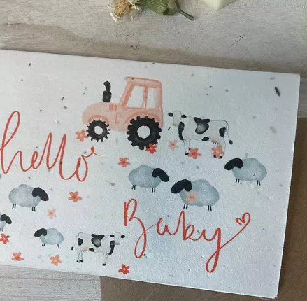 'Hello Baby' Plantable Greeting Card