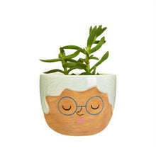 Load image into Gallery viewer, Mini Rose Planter

