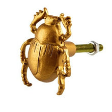 Load image into Gallery viewer, GOLD SCARAB BEETLE DRAWER KNOB
